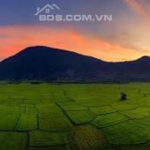 Chủ cần thanh lý nhanh lô đất sào mặt tiền đường đất lớn, kế bên đường Nhựa liên xã