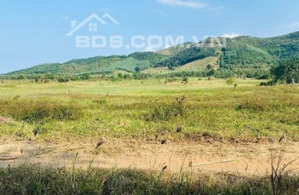 bán đất Ninh Xuân Ninh Hòa hơn 2000m2 mà chưa đến năm trăm triệu