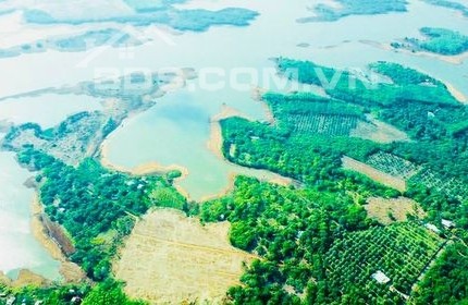 Bình Phước Gía f0 ,Mua Đáy Bán Đỉnh