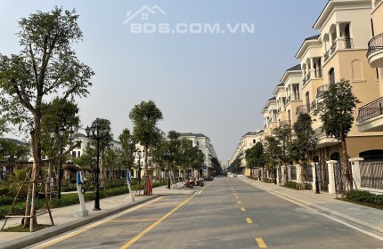 Chuyển nhượng, basn cắt lỗ biệt thự, shophouse Vinhomes Ocean Park 2 - The Empire