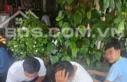 GIÁ SÔI ĐỘNG CƠ HỘI ĐẦU TƯ