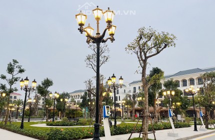 Giá chỉ 03 triệu để thuê căn biệt thự liền kề để ở và kinh doanh tại Vinhomes Ocean Park 2.