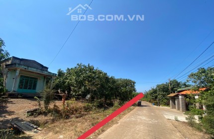 250m2 đất F0 chưa qua đầu tư có sẵn 200m2 thổ cư view hồ Trị An