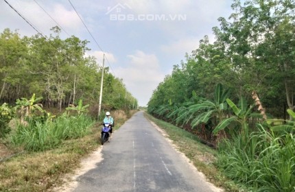 Thời điểm vàng để đầu tư bất động sản giá hời - sổ hồng riêng Châu Thành - Tây Ninh