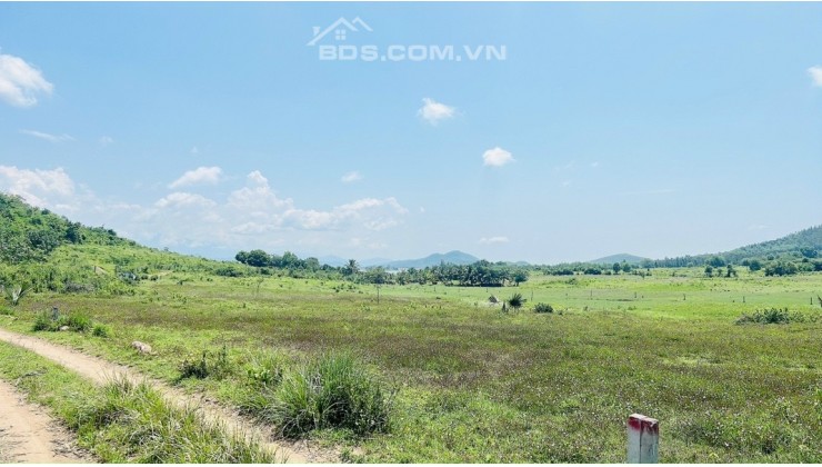 Bán đất Ninh Xuân - Ninh Hoà gần hồ suối Trầu , gần tỉnh lộ 8 , gần các khu CN Hoà Phát