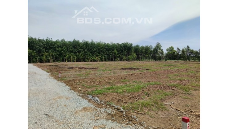 Bán 1000m2 đất cách đường nhựa chỉ 400m, có suối gần đất giá tốt nhất thị trường