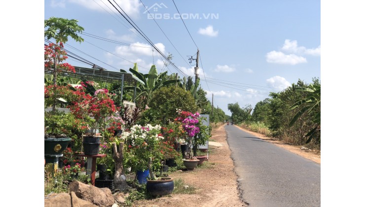 GẤP! THÁNG SAU CẦN TẤT TOÁN TIỀN VAY NGÂN HÀNG, GIÁ NÀO CŨNG BÁN