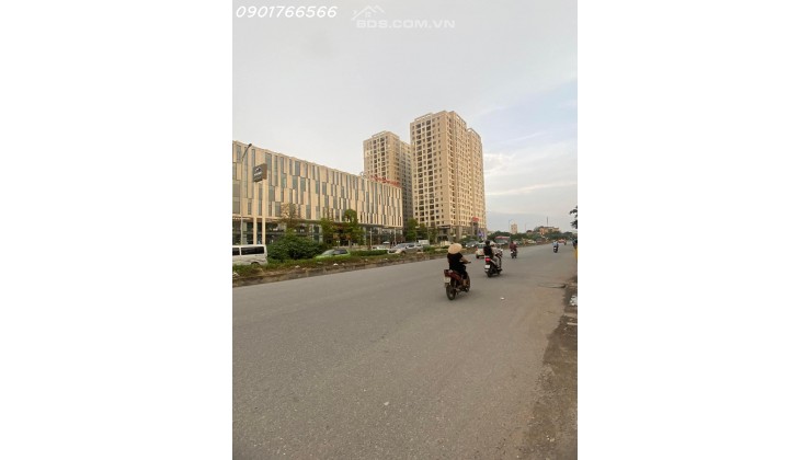 Bán Đất, Mặt Phố Tam Trinh, Quận Hoàng Mai,  202m, Mt 7m, Giá 36 tỷ.