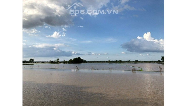 ĐỪNG CHỜ ĐỢI NỮA, MÀ ĐI MUA LÔ NÀY LIỀN ĐI, CỰC PHẨM Ở CHÂU THÀNH, TÂY NINH