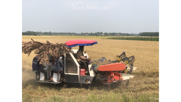 ĐẤT SÀO PHÙ HỢP LÀM VƯỜN, TRANG TRẠI, ĐẦU TƯ, NGHỈ DƯỠNG TẠI CHÂU THÀNH, TÂY NINH