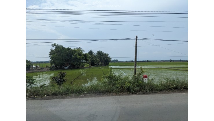 ĐẤT THÌ ĐẸP, HIỆN ĐANG BÁN PHÁ GIÁ THỊ TRƯỜNG, KHÔNG MUA LÀ TIẾC