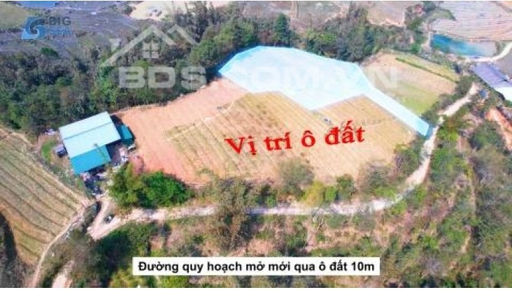 Cắt lỗ lô đất 1200m2 có view săn mây cực đẹp tại Tả Phìn – Sapa . Giá : 1,xtr / m2