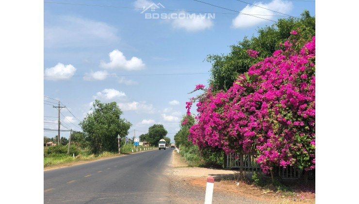 ĐI LẤY CHỒNG XA, NÊN BÁN ĐẤT VÌ KHÔNG AI TRÔNG COI