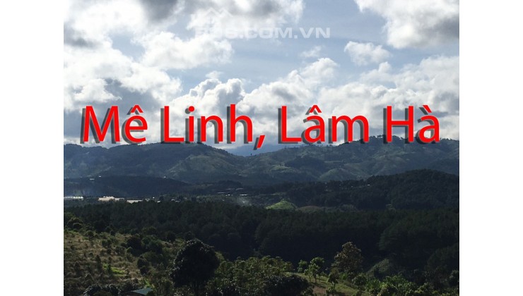 Đất Chính Chủ Mê Linh Lâm Hà