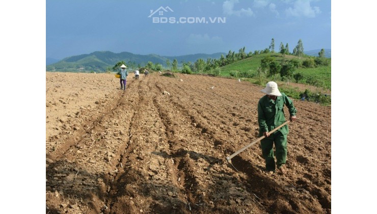 KẸT TIỀN BÁN GẤP LÔ ĐẤT GIÁ CHỈ 425 TRIỆU