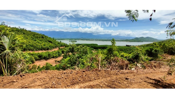 Cần bán 8 ha đất rừng sản xuất view hồ Suối Trầu cực đẹp