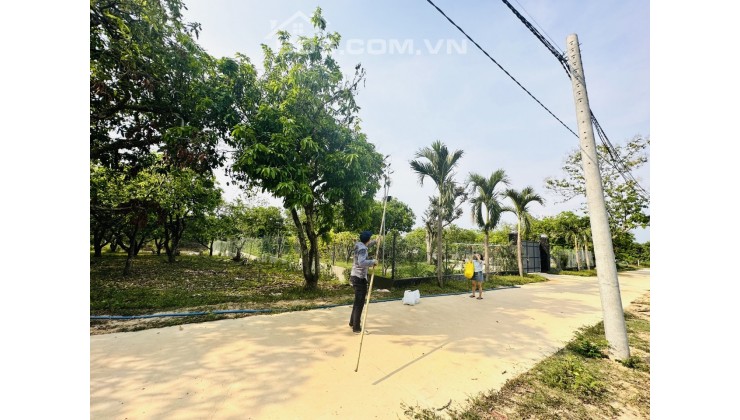 Ông a ngộp ngân hàng cần bán vườn trái cây dt 1000m2 giá chỉ 720tr ở Định Quán,Đồng Nai.