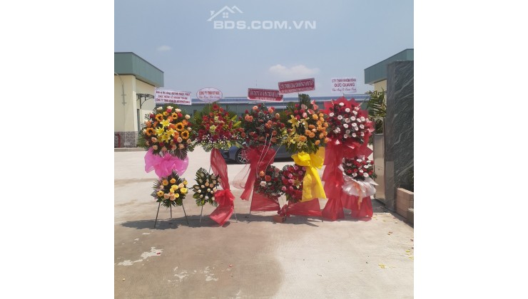 Cho thuê NXVP 10.312m2 KCN Thành Thành Công Tây Ninh giá 400tr/tháng