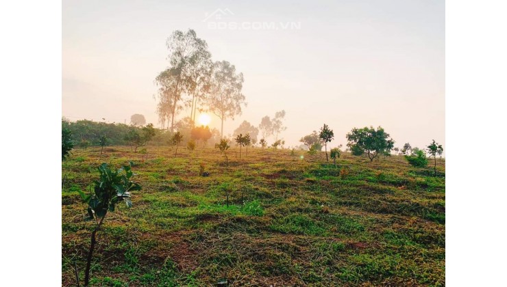 GIA THỌ VILLAGE BẤT ĐỘNG SẢN SINH THÁI NGOẠI Ô THÀNH PHỐ ĐÀ LẠT