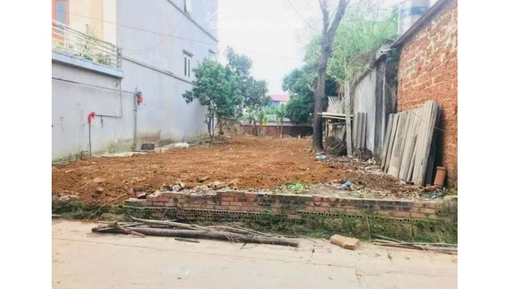 Bán đất Gia Quất, Long Biên 71m2 giá 4 tỷ. Sổ vuông, chính chủ