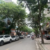 bán đất tặng nhà cũ 2 tầng mặt phố Ngọc Lâm-Long Biên, 98m MT 5.4m, full thổ cư