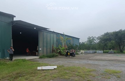 Cho thuê kho diện tích 300m2 tại Thanh Trì