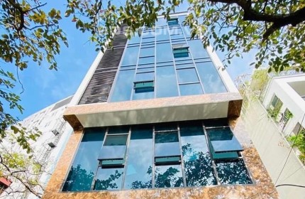 HÀNG NGỘP BANK - MẶT PHỐ NGUYỄN THÁI HỌC - XÂY BUILDING TUYỆT ĐỈNH - MẶT TIỀN 5,5M - 25 TỶ