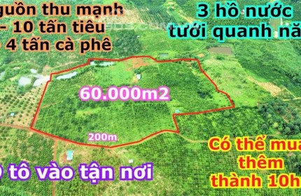 ĐẤT RẪY ĐĂK NÔNG GIÁ RẺ