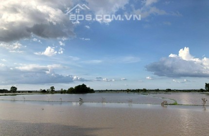 ĐỪNG CHỜ ĐỢI NỮA, MÀ ĐI MUA LÔ NÀY LIỀN ĐI, CỰC PHẨM Ở CHÂU THÀNH, TÂY NINH