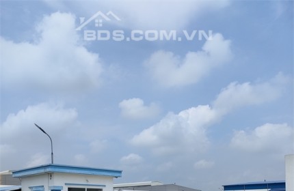 Cần bán 10.000m2 đất TMDV 50 năm tại mặt đường Huyện Ninh Giang, Tỉnh Hải Dương