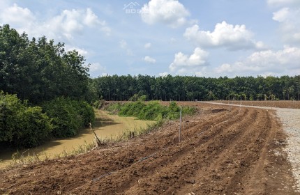 GẤP! THÁNG SAU CẦN TẤT TOÁN TIỀN VAY NGÂN HÀNG, GIÁ NÀO CŨNG BÁN