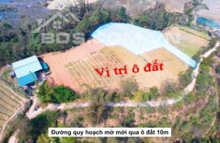 Cắt lỗ lô đất 1200m2 có view săn mây cực đẹp tại Tả Phìn – Sapa . Giá : 1,xtr / m2