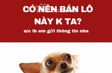 ĐẤT NỀN MỸ THO ĐANG LÀ CƠN SỐT THỜI ĐIỂM HIỆN TẠI