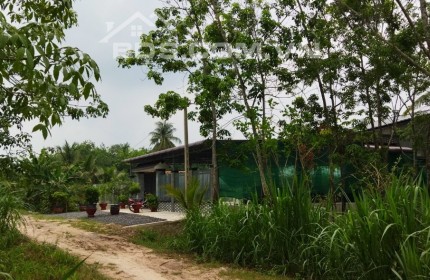 Nay em lại bán đất ấp Năm Trại- Hoà Thành full thổ giá cũng rất rẻ chỉ 260 triệu hết đất.