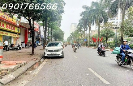 Phân Lô Siêu Đẹp, Phố Tân Mai, Hàng xóm Luis City, 95mx 5T, Giá 15 tỷ.