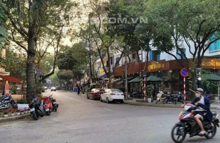 Siêu Phân Lô, KĐT Bắc Linh Đàm, Quận Hoàng Mai, 74m x 4T, Giá 12 tỷ.