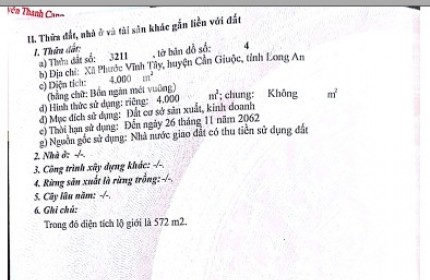 ĐẤT MẶT TIỀN ĐT826C Phước Vĩnh Tây, Cần Giuộc