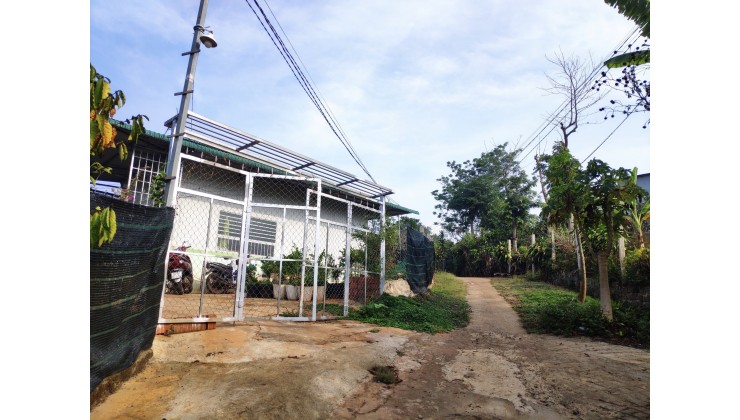 Chính chủ cần bán gấp nhà vườn tại thị trấn Di Linh