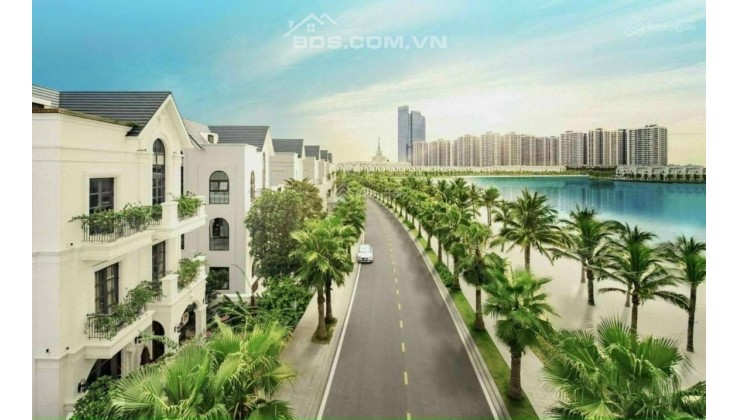 Chính chủ cho thuê Shophouse Mặt Biển hồ nước mặn - Vinhomes Ocean Park làm nhà hàng kinh doanh GIÁ 40TR