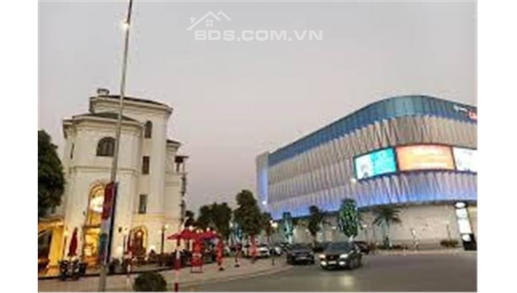 HOT Biệt thự góc Vip Vinhomes Ocean Park The Empire đối diện TTTM Vincom KĐ1- 06