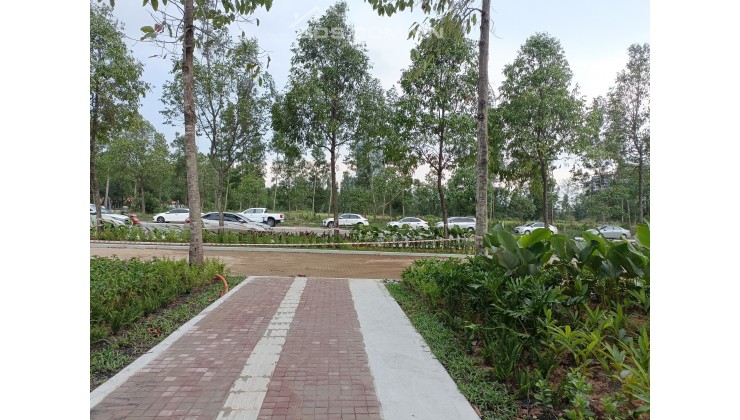 Artisan Park - Nhà Phố trung tâm TP mới BD - giá chỉ 38 triệu/m