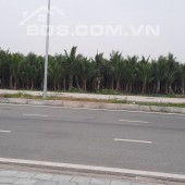 Bán 4ha đất công nghiệp tại Ninh Giang, Hải Dương. Đất trả tiền 1 lần