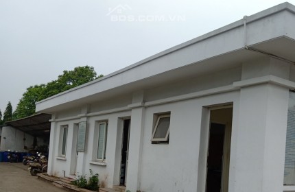 Bán 1ha đất TMDV tại Ninh Giang, Hải Dương. Sẵn 3500m2 nhà xưởng