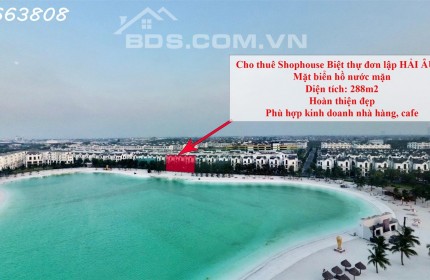 Cho thuê Shophouse BIỆT THỰ ĐƠN LẬP HẢI ÂU 01 300m2 Vinhomes Ocean Park Gia Lâm kinh doanh nhà hàng, cafe