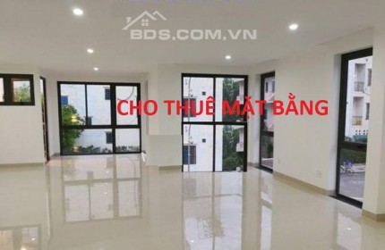 Cho thuê mặt bằng 3.000m2 khu Thùy Vân