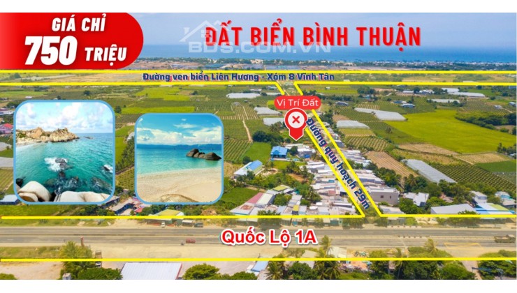 Đất biển Bình Thuận, kết nối cao tốc giá rẻ chỉ 750tr/ lô full thổ cư đường 29m