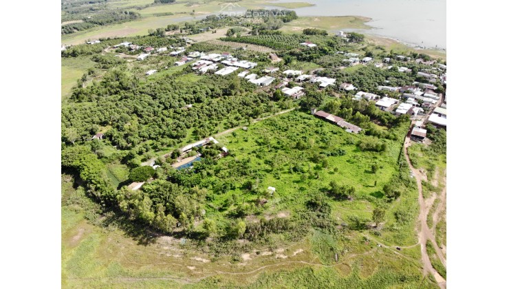 Cần bán 7.3ha đất giáp hồ Trị An phù hợp làm khu nghỉ dưỡng