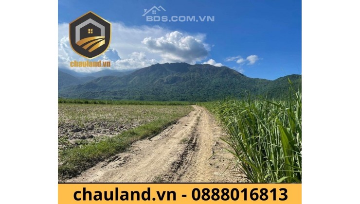 1.600m2 Đất Ninh Hòa, siêu rẻ chỉ 290 triệu, bao sang tên