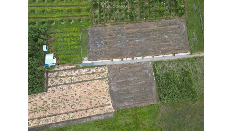 Bán đất nền chỉ 3,9tr/m2 gần KCN Hiệp Thạnh, Gò Dầu, Tây Ninh