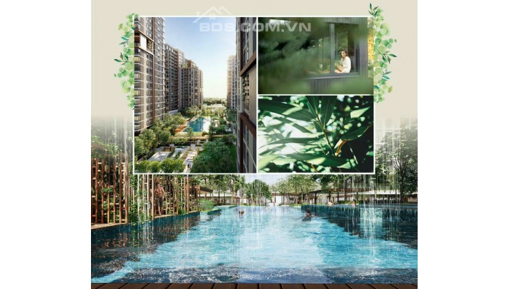 Dự án Elysian - Gamuda Land có hồ bơi đa năng gần 1000m2